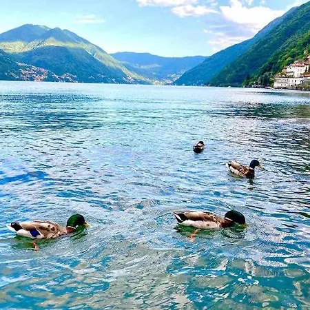 Apartment Finestra Sul